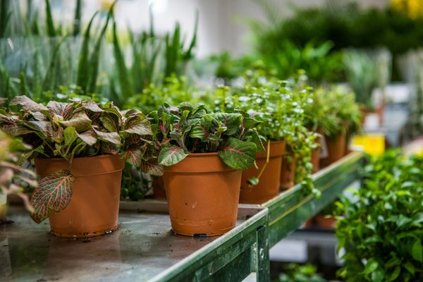 Des réductions incroyables sur les smartphones black friday 2023